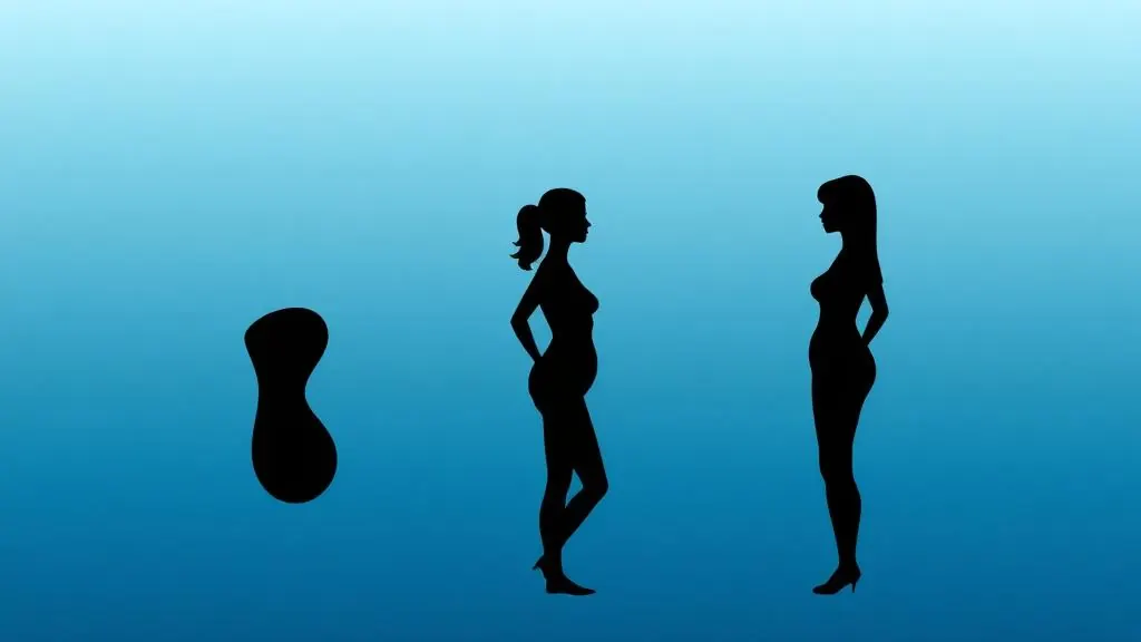 Silhouettes showing different body shapes